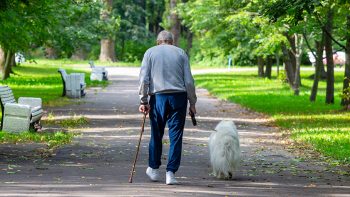 How Walking a Mile a Day Can Change Your Life as a Senior